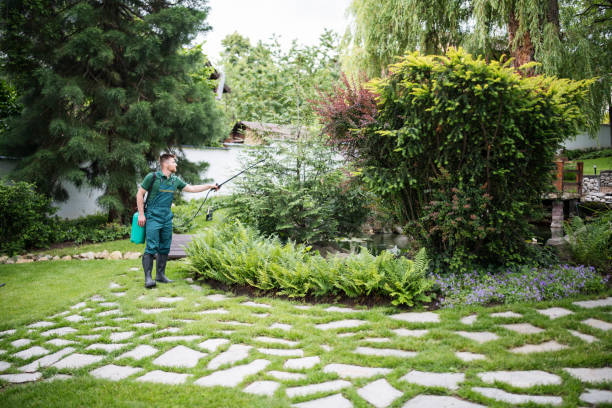 Best Local Pest Control Services  in Waymart, PA