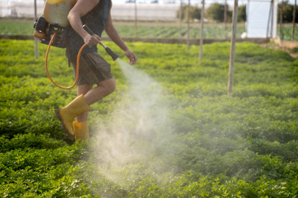 Best Mosquito Control Services  in Waymart, PA