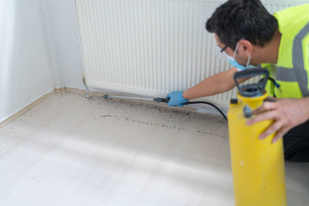 Best Flea Control Services  in Waymart, PA