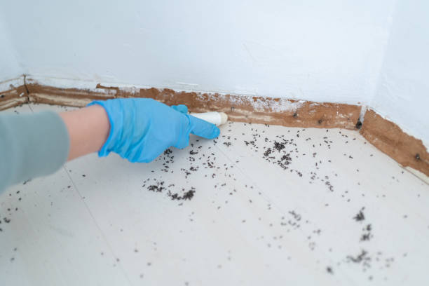 Best Best Pest Control Companies  in Waymart, PA